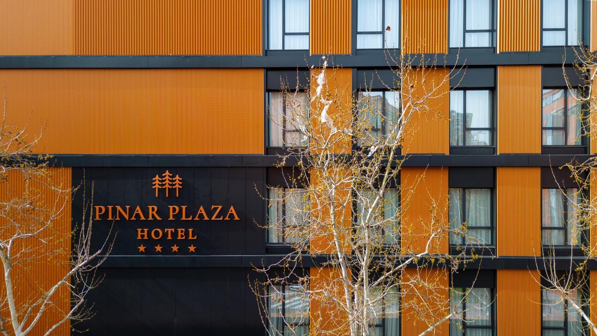 Hotel Pinar Plaza Μαδρίτη Εξωτερικό φωτογραφία